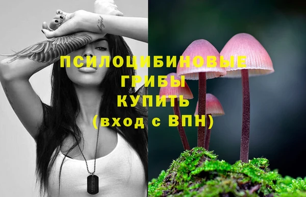 2c-b Заволжск