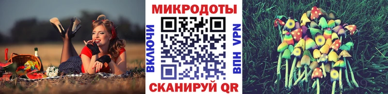 купить закладку  Ирбит  kraken ONION  Псилоцибиновые грибы прущие грибы 